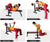 Weight Bench, Adjustable Weight Bench